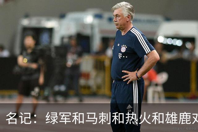 名记：绿军&马刺&热火&雄鹿对斯图尔特有意 本人已做被送走的准备