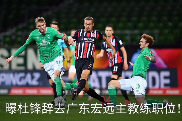 曝杜锋辞去广东宏远主教练职位！