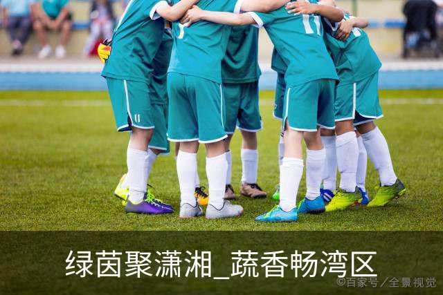 绿茵聚潇湘 蔬香畅湾区