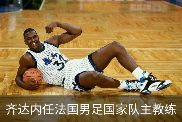 齐达内任法国男足国家队主教练